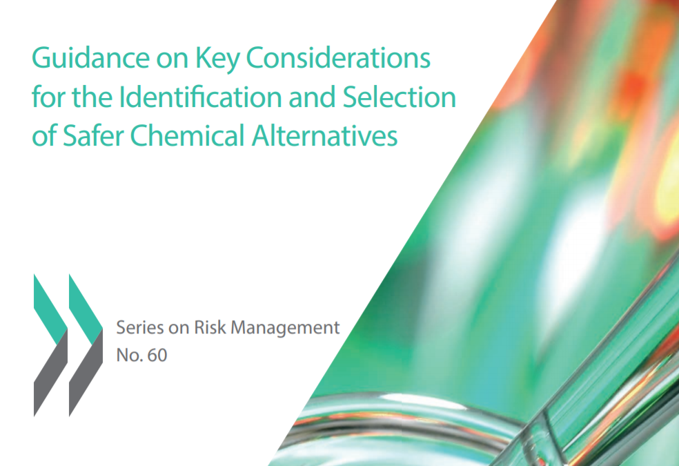 Guidance on key considerations for the identification and selection of safer chemical alternatives